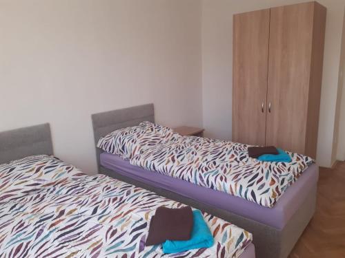 Apartman Mirova in Nove Mesto Na Morave