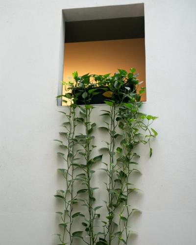 Hotel Ramblas Internacional, Barcellona (foto 9)