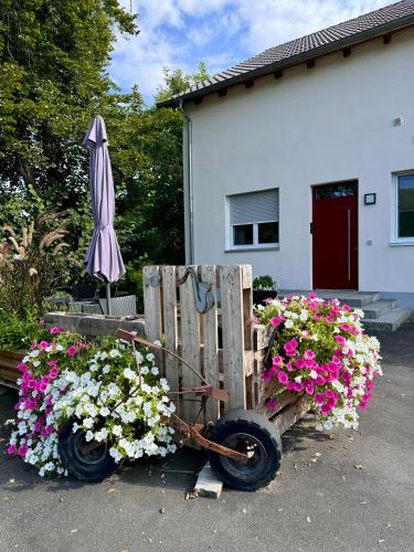 Ferienwohnungen Frank in Segnitz, Deutschland