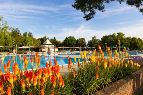 Hotel Thermalpark - image 7