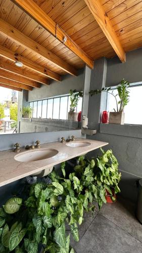 Meridiano Hostel Boutique in Buenos Aires