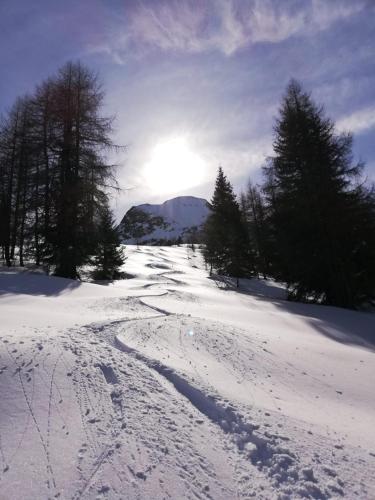  Haus Spiss in Flirsch