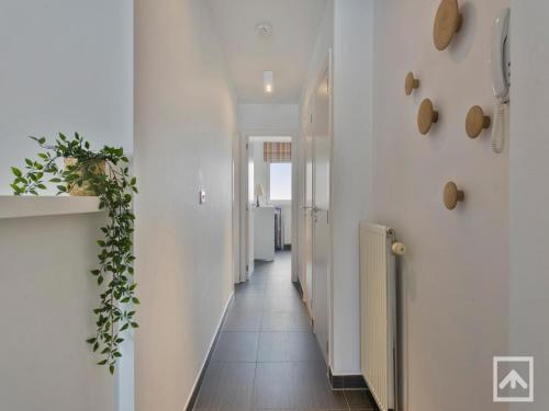 Apartment in Blankenberg with Sea Views