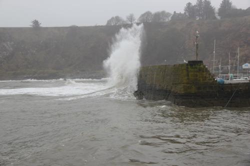 Shorehead Guest House - image 13