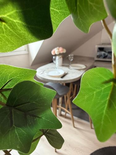 Appartement Strasbourg Centre, Strasbourg