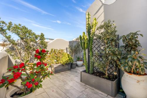 Oasis Suites Fira – Fira, UT