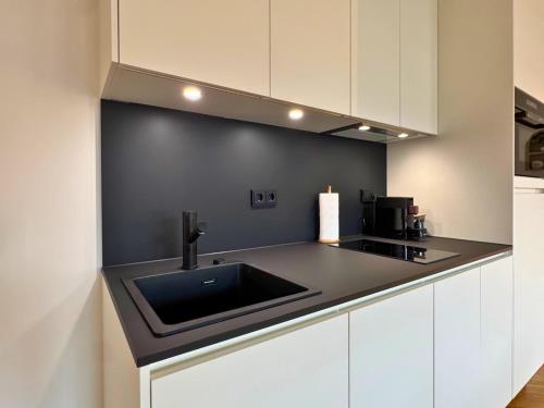 Isaak Apartment Löwenbau E1-W07 (Isaak Apartment Lowenbau E1-W07) in Waldshut-Tiengen
