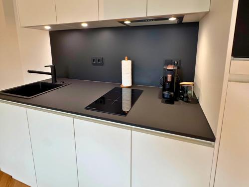 Isaak Apartment Löwenbau E1-W07 (Isaak Apartment Lowenbau E1-W07) in Waldshut-Tiengen