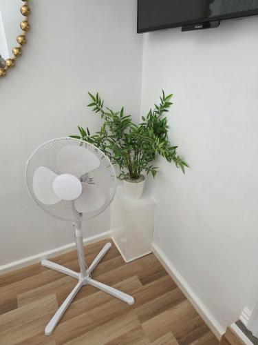 Double Room image 5