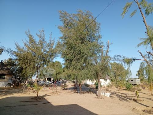 Coeur Phil-Harmonie in נדנגנה