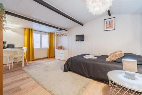 Romy - Studio Cosy et Clame au Capitole, Toulouse