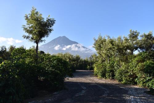 King size bed room -4, Antigua Guatemala (foto 8)