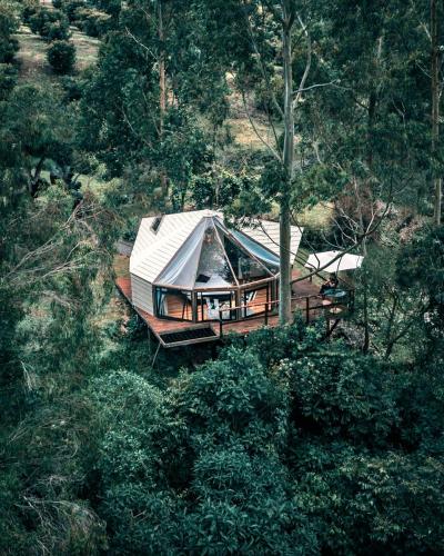 Lumbre Forest Lodge, Саленто