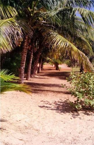 Domaine de Marie au Cap Skirring