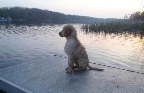 Life is Better by the Water at Slayton Shores Life is Better by the Water at Slayton Shores