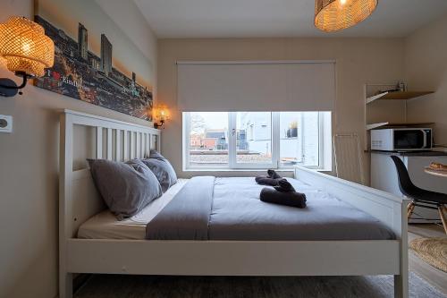 Cozy & Fully Equipped Studio in Eindhoven 2, Eindhoven