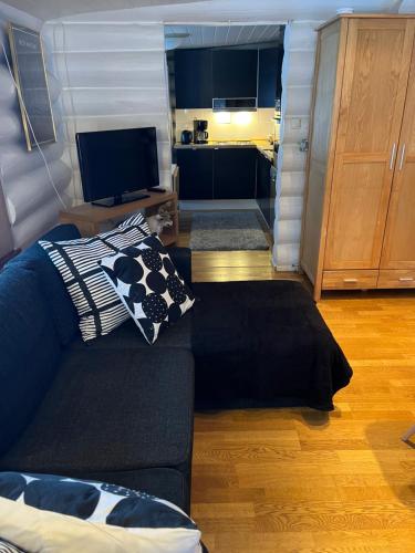 Harju-Hill Villa in Tapio