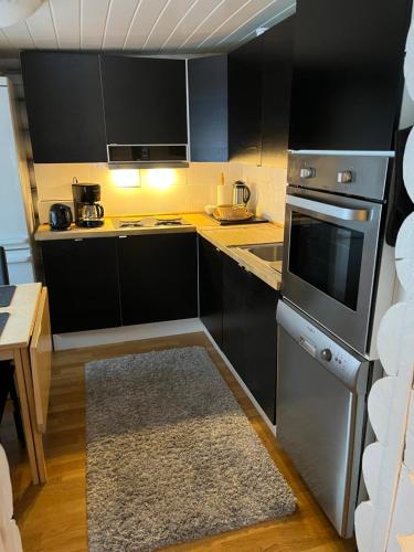 Harju-Hill Villa in Tapio