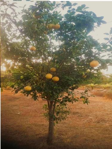 Domaine de Marie au Cap Skirring