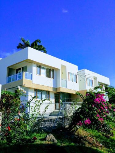 OCEAN VIEW APARTMENTs in เซนต์ จอร์จ
