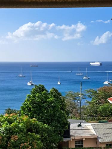 OCEAN VIEW APARTMENTs in เซนต์ จอร์จ