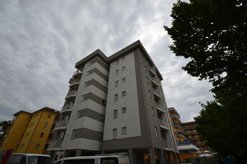 LION - image 3