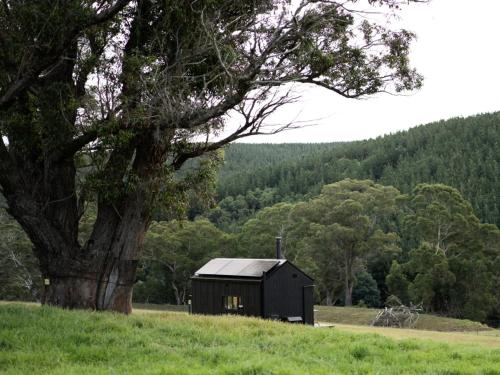 . Off-Grid Cabin with Valley Views and Hot Tub - Pepe