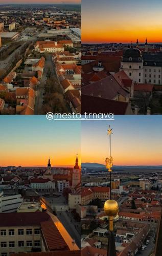 Luxury design apartment in downtown centre with free parking