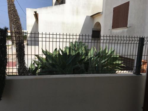 Casa Maré 4