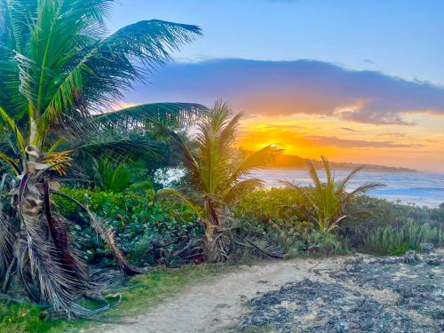 Kite beachfront Villa in Las Picuäs