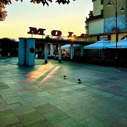 Art of Sopot 2