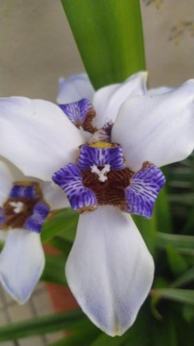 Pousada Rota dos Mares Pousada Rota dos Mares