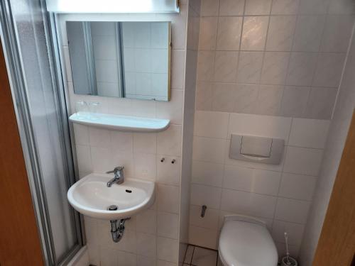 Pension Blümchen am Kiesgrube, Drážďany (fotografie 11)