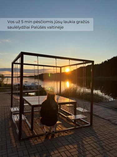 周邊環境, Palūšės Apartment (Paluses Apartment) in 伊格納利納