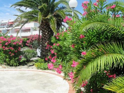 Vittoria Immobilier 12 -REGLEMENT SUR PLACE - chèques vacances acceptés - image 3