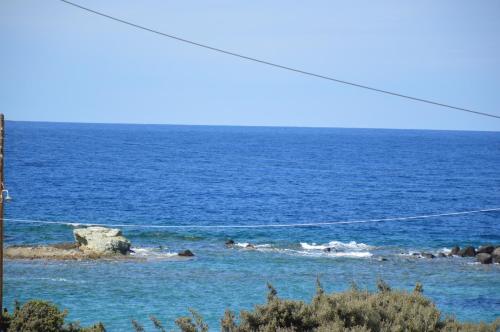 Orfeas, Pollonia (Foto 7)