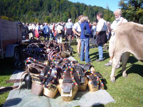 Alpenflair Ferienwohnungen Whg 201 "Doris"