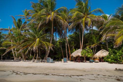 Little Corn Beach And Bungalow In Island Nicaragua Bungalow In Little Corn Island