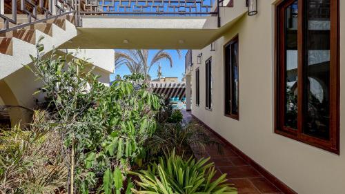 حديقة, Paz Del Mar 20 in Las Conchas