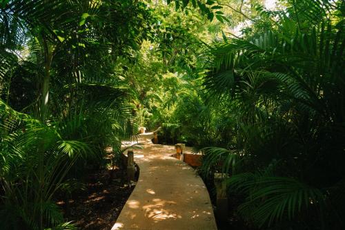 Aldea Coba a Comfortable Sleep in the Jungle