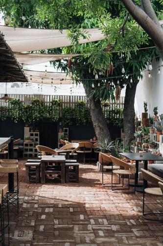 餐廳, Drift San Jose del Cabo in 聖何塞德爾卡沃市中心