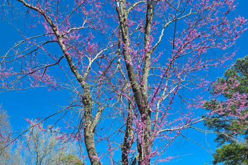 DeSoto Haven DeSoto Haven