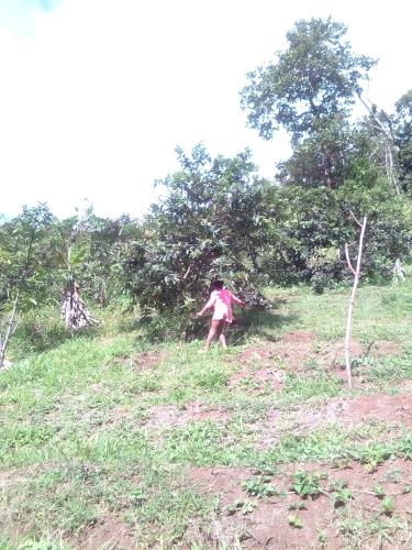 PT Jardin Farm in Castle Bruce