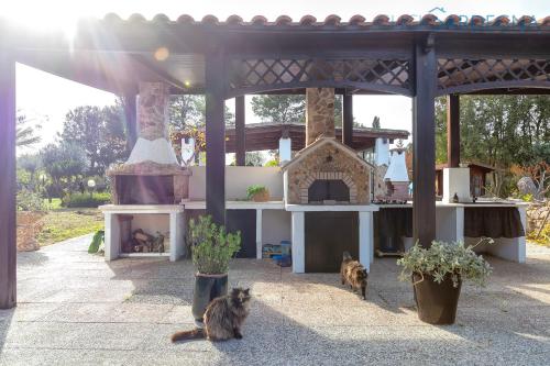 Vedere exterior, ClickSardegna Luxury Villa Elike with private pool with patio and barbecue area in Alghero