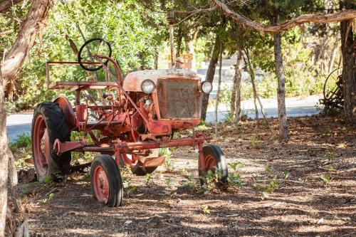 Charming Canyon Cabin with a View Charming Canyon Cabin with a View