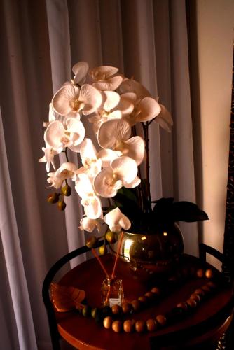 Suítes e Loft do Tião