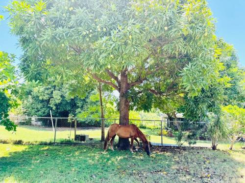 Purple Sunset - Walk to Malecon & Beaches