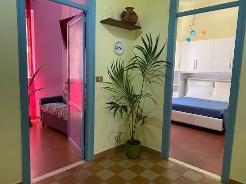 irenes holiday house