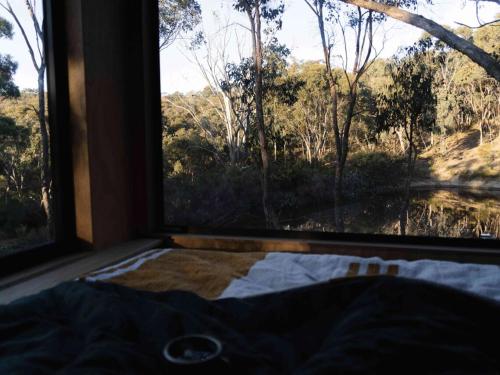 Secluded off-Grid cabin with water views - Marcel in Chewton