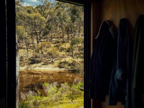 Secluded off-Grid cabin with water views - Marcel in Chewton